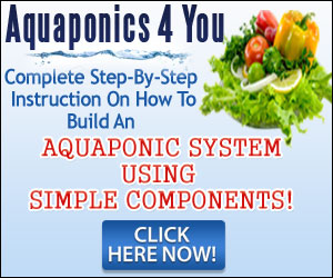 Mini System Aquaponics Design http://www.cheapsheds.com/aquaponics/the